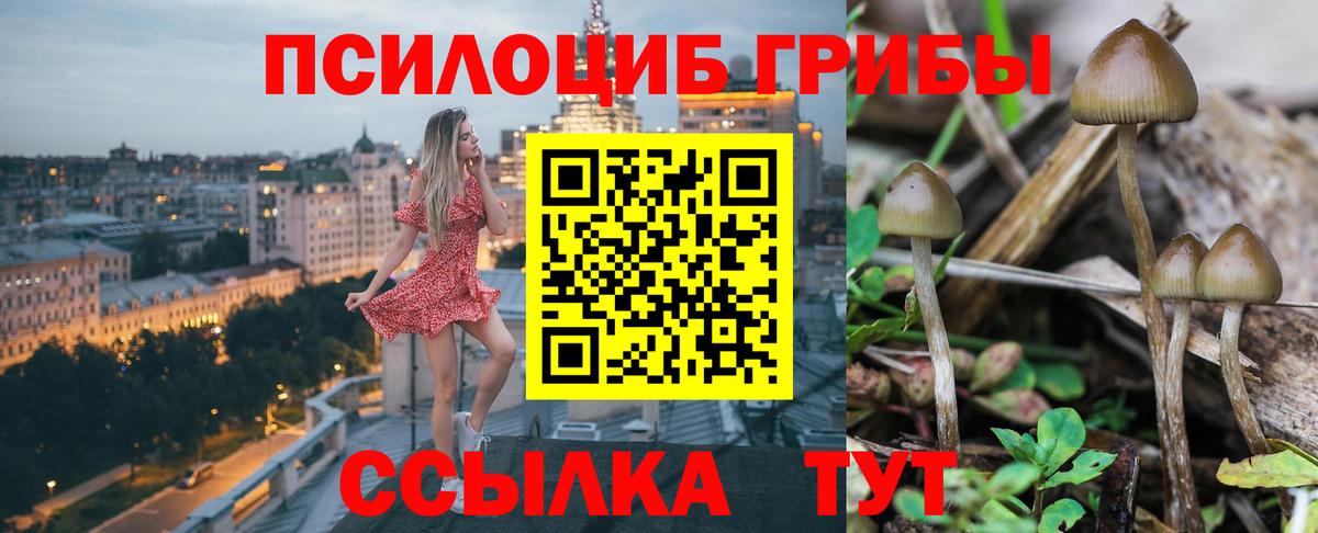 Псилоцибиновые грибы Magic Shrooms Кировск