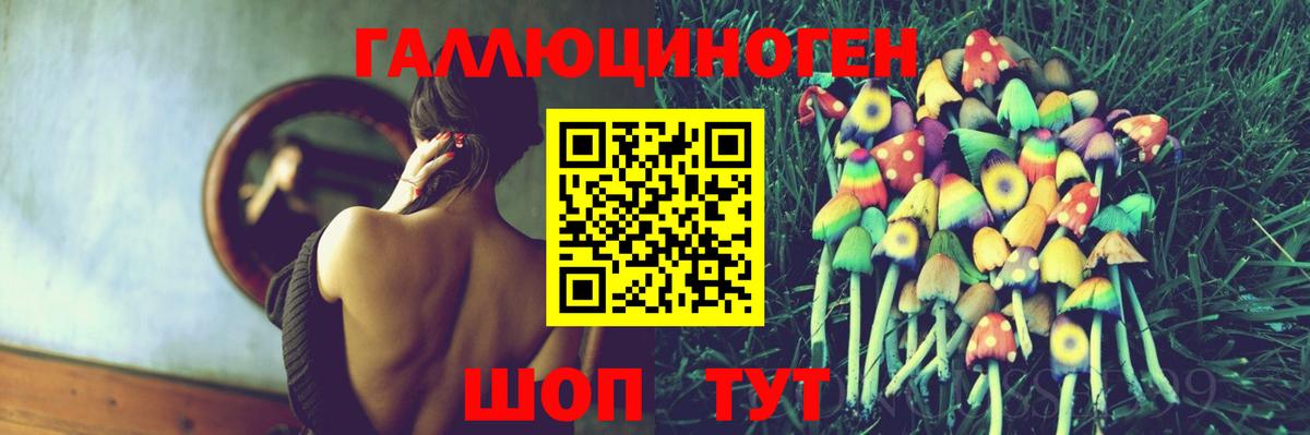 Кировск  Галлюциногенные грибы Psilocybine cubensis  Псилоцибиновые грибы Cubensis  Вход с VPN 